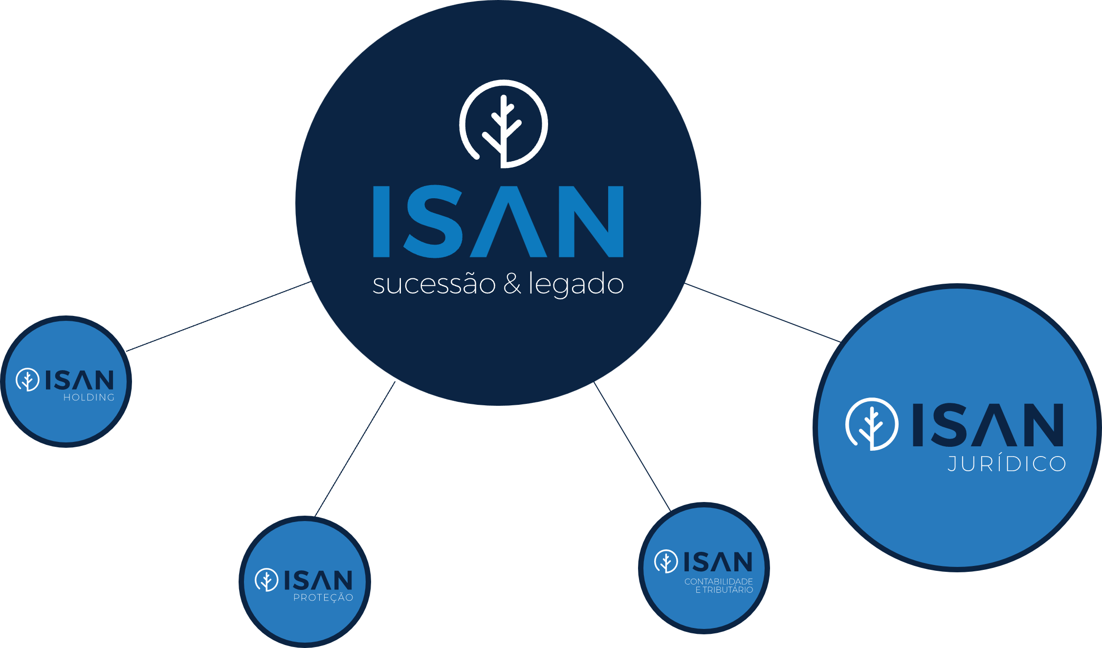 Imagem5